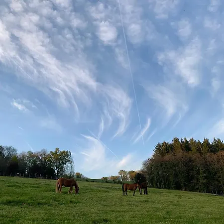 Hétvégi ház Santa Marina