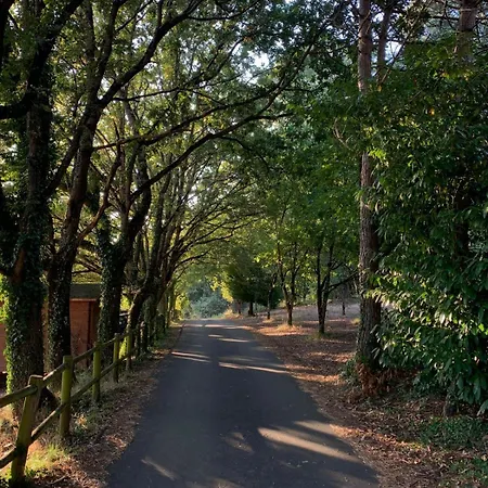 Santa Marina Hétvégi ház *